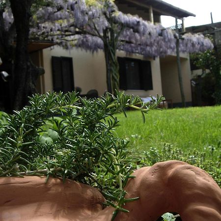 Villa Caprile ماسّا لوبْرينسِ الغرفة الصورة