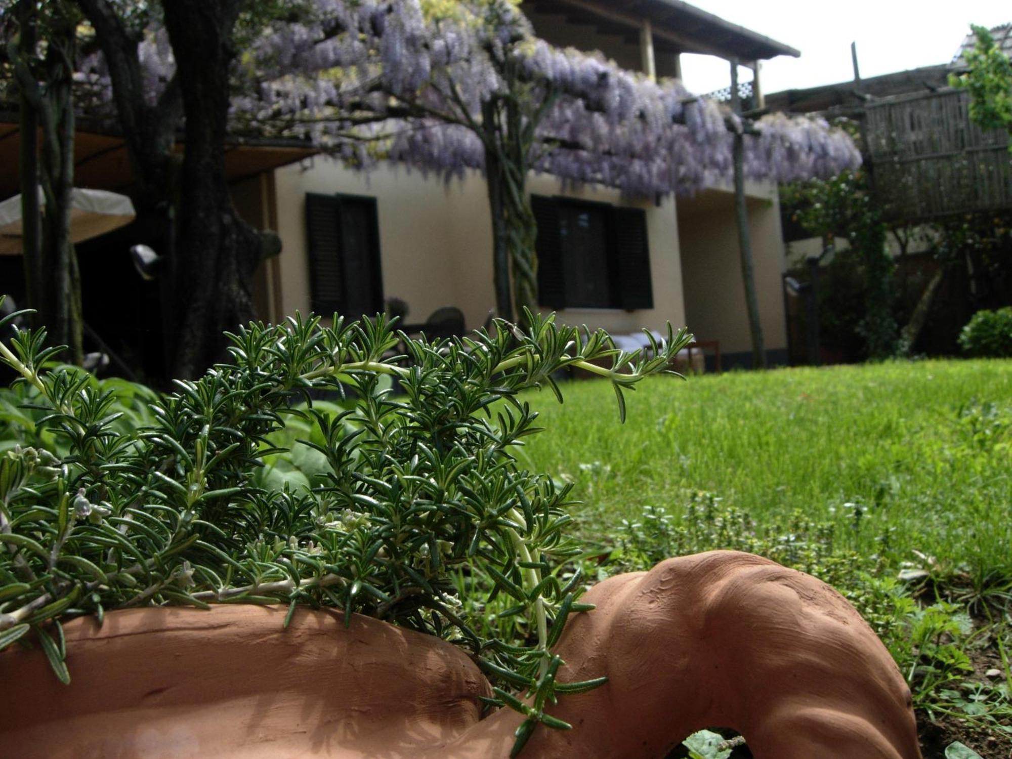 Villa Caprile ماسّا لوبْرينسِ الغرفة الصورة