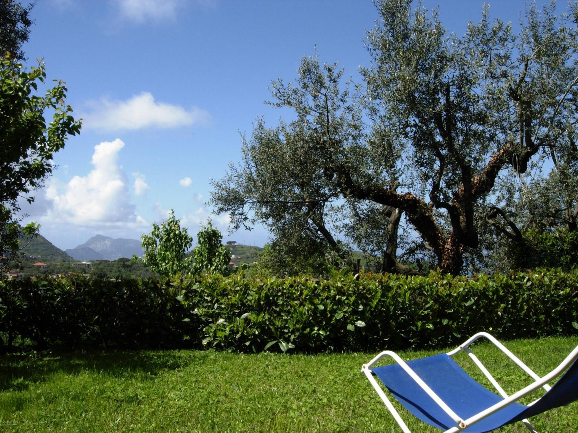 Villa Caprile ماسّا لوبْرينسِ الغرفة الصورة